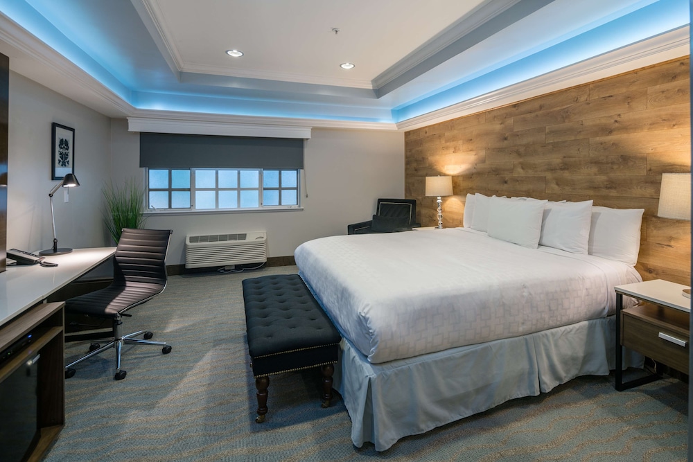 Standard Room, 1 King Bed, Non Smoking - Photo 4