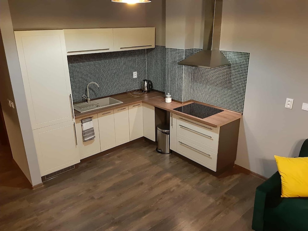Apartment, 1 Bedroom, Kitchen, City View, photo 6