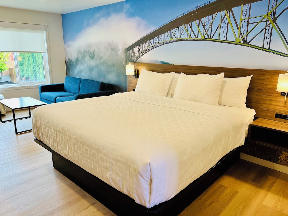 Room, 1 King Bed, Accessible, Non Smoking photo 3