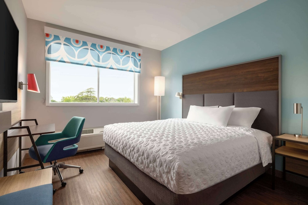 Room, 1 King Bed