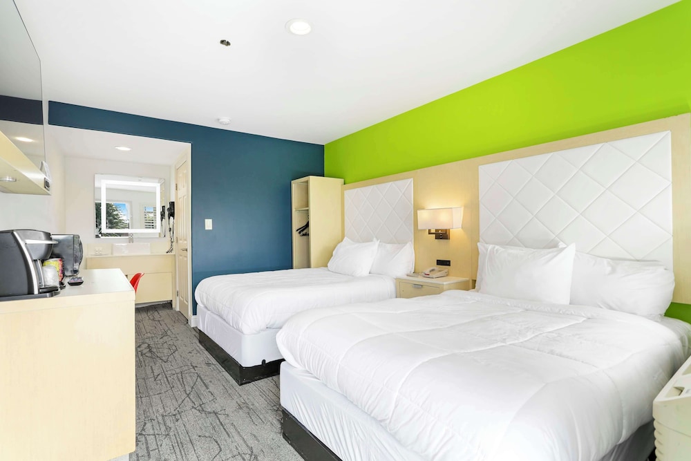 Room, 2 Double Beds photo 1