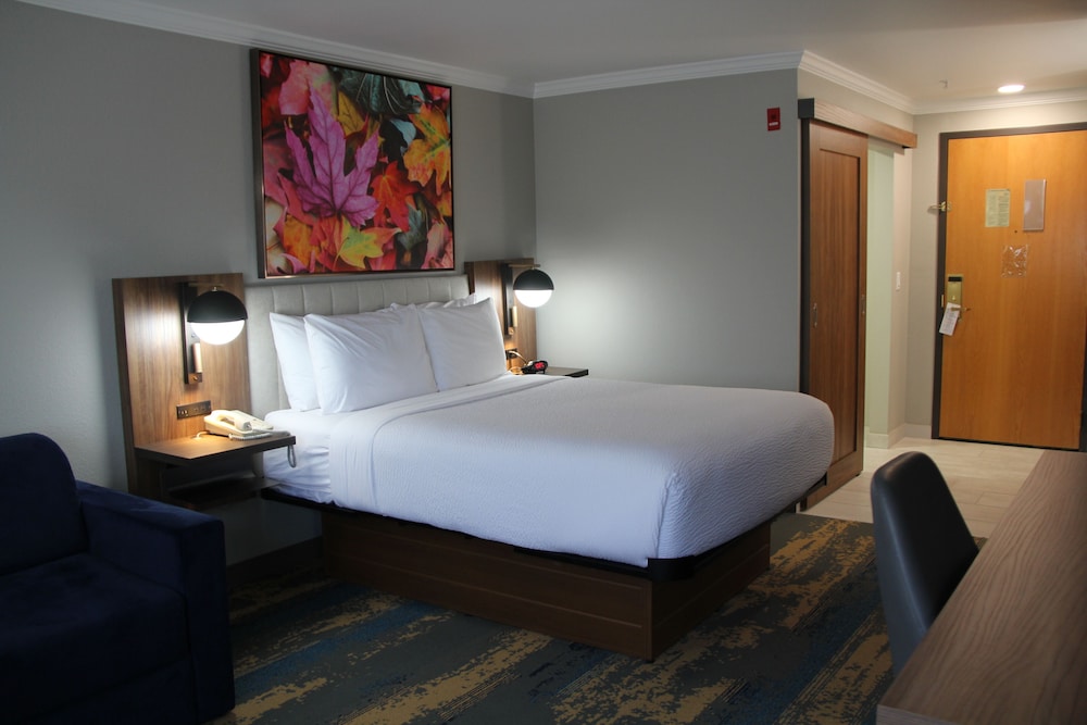 Deluxe Room, 1 Queen Bed, Non Smoking (Efficiency) - Photo 3