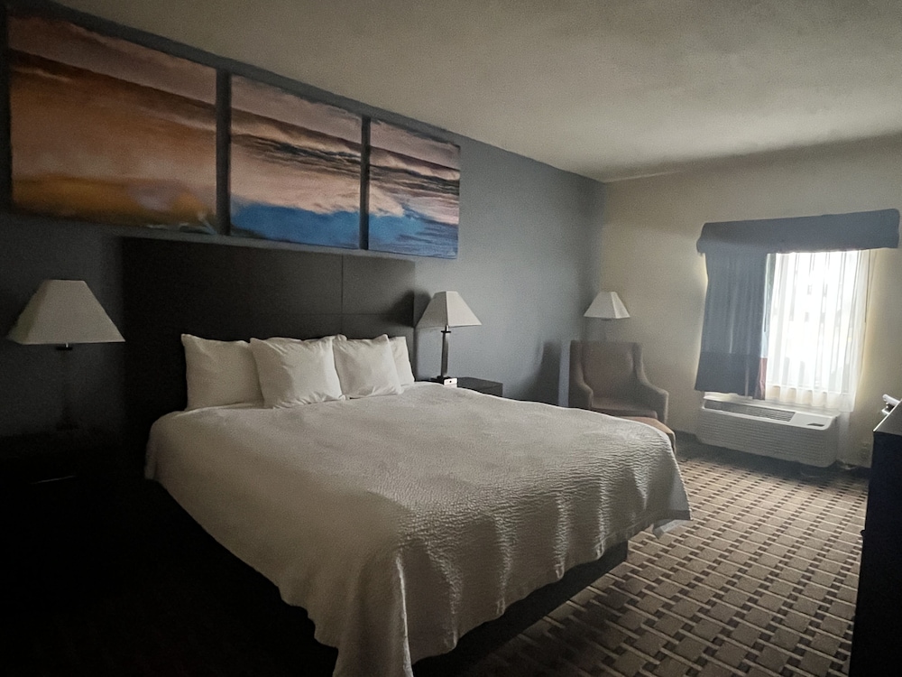 Standard Room, 1 King Bed, Non Smoking photo 3