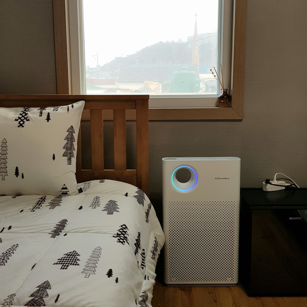 Basic Double Room, 1 Queen Bed, Non Smoking, Mountain View photo 2