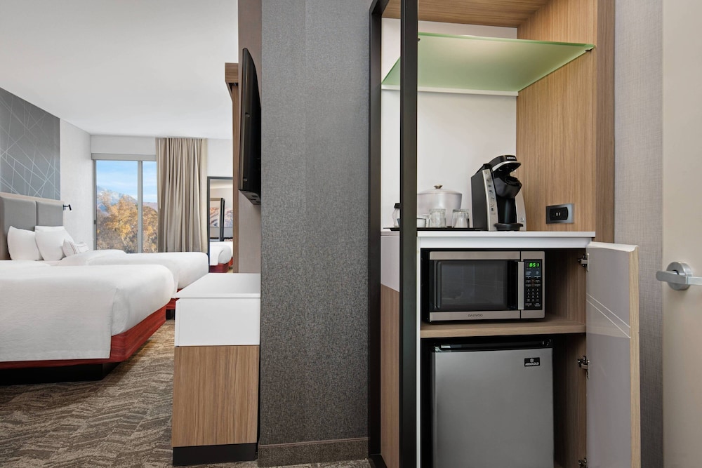 Studio Suite, 1 King Bed (Mobility/Hearing Access, Roll-In Shwr)