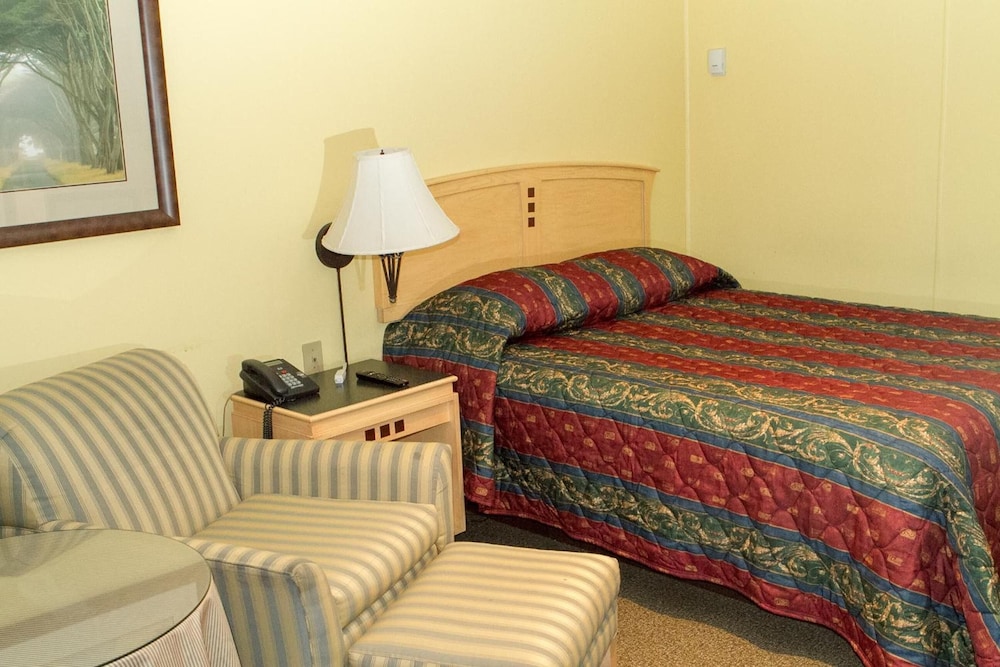 Single Queen Room photo 2