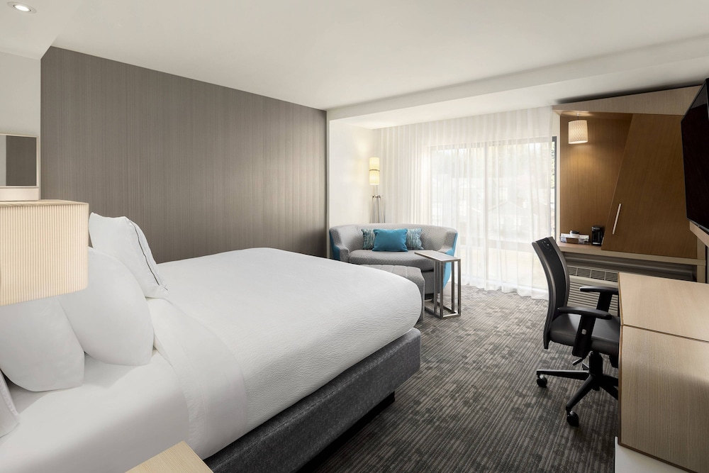 Suite, 1 King Bed with Sofa bed (Hearing Accessible) photo 2