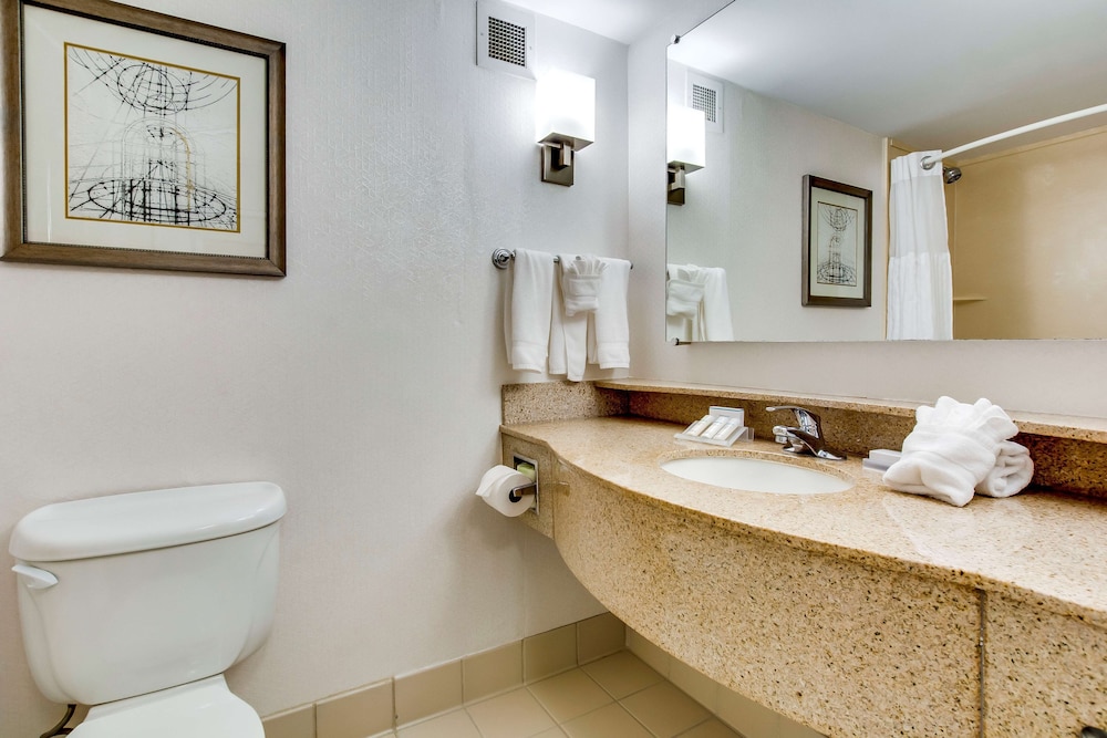 Suite, 1 Bedroom, Accessible (Roll-in shower) - Photo 6