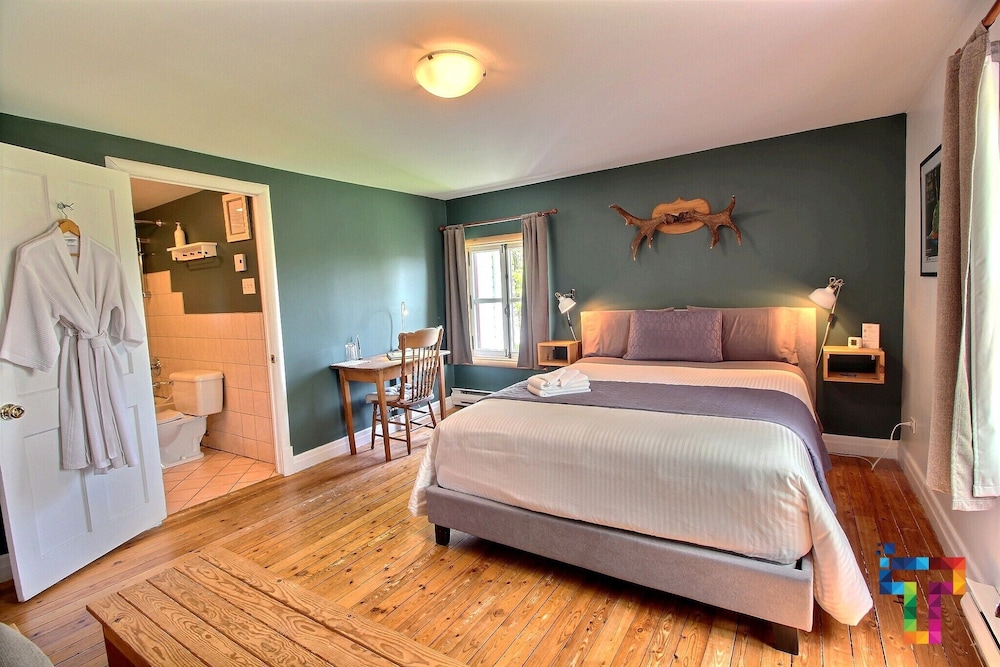 Room, 1 Queen Bed photo 1