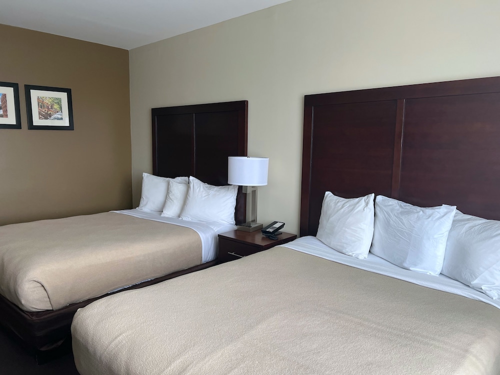 Room, 2 Queen Beds, Non Smoking photo 3