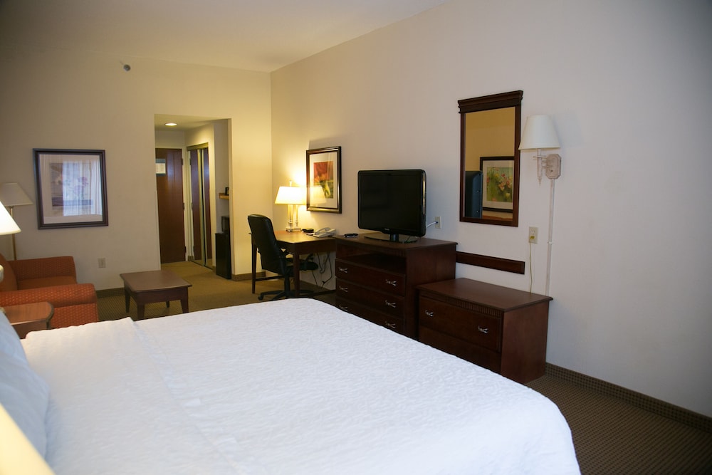 Room, 1 King Bed, Accessible, Bathtub (Mobility & Hearing)