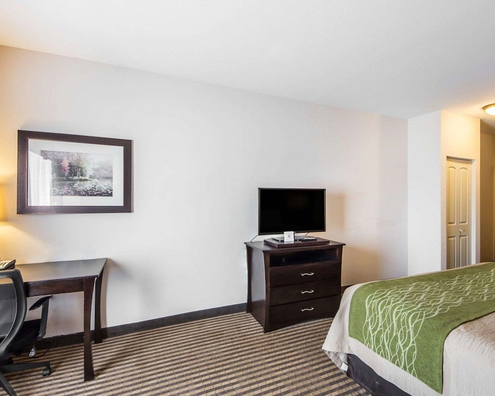 Standard Room, 1 King Bed, Non Smoking photo 3