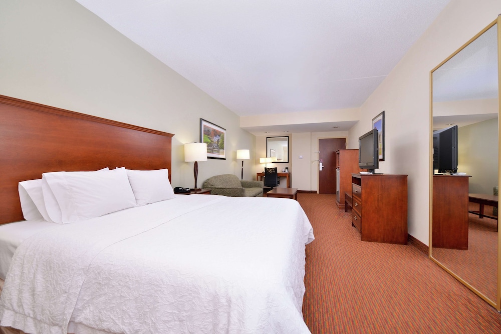 Room, 1 King Bed, Accessible, Non Smoking - Photo 1