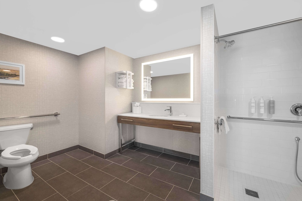 Room, 1 King Bed, Accessible (Mobility, Hearing, Roll-in Shower) - Photo 8