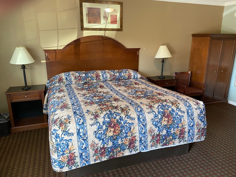 Room, 1 King Bed, Non Smoking photo 3