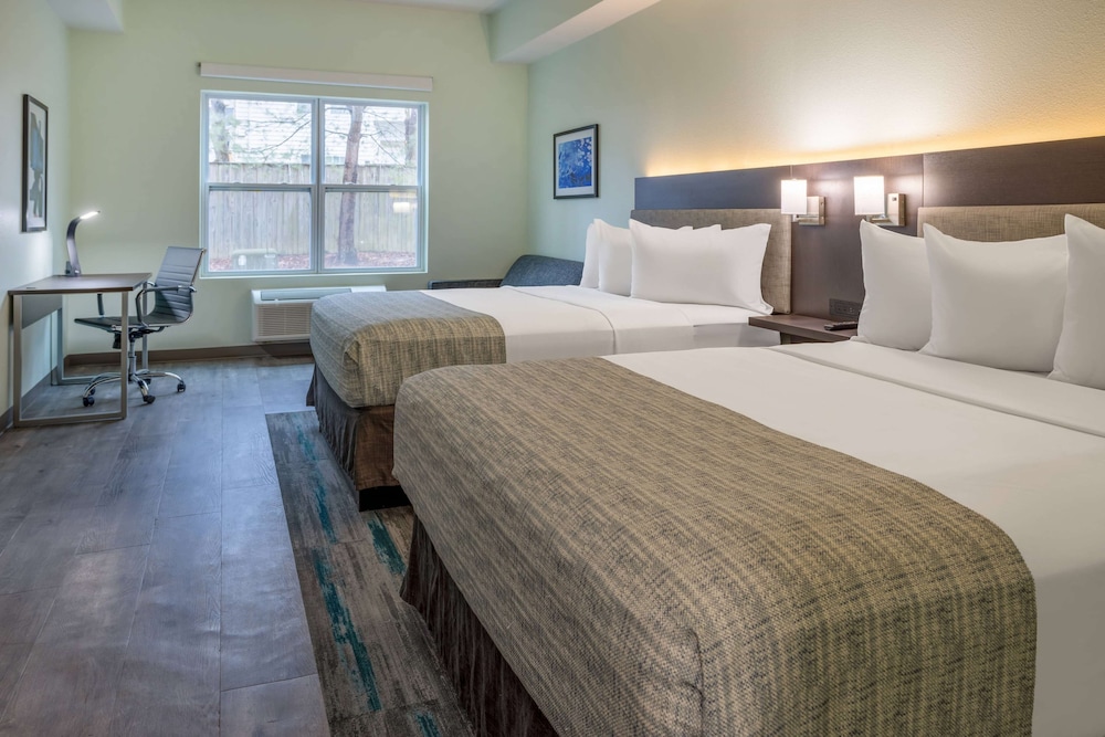 Room, Multiple Beds, Accessible, Non Smoking (Mobility) - Photo 3