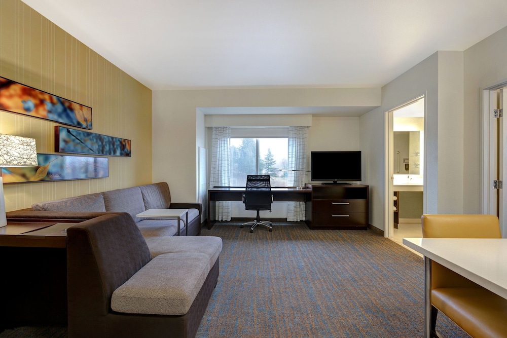 Suite, 1 King Bed with Sofa bed