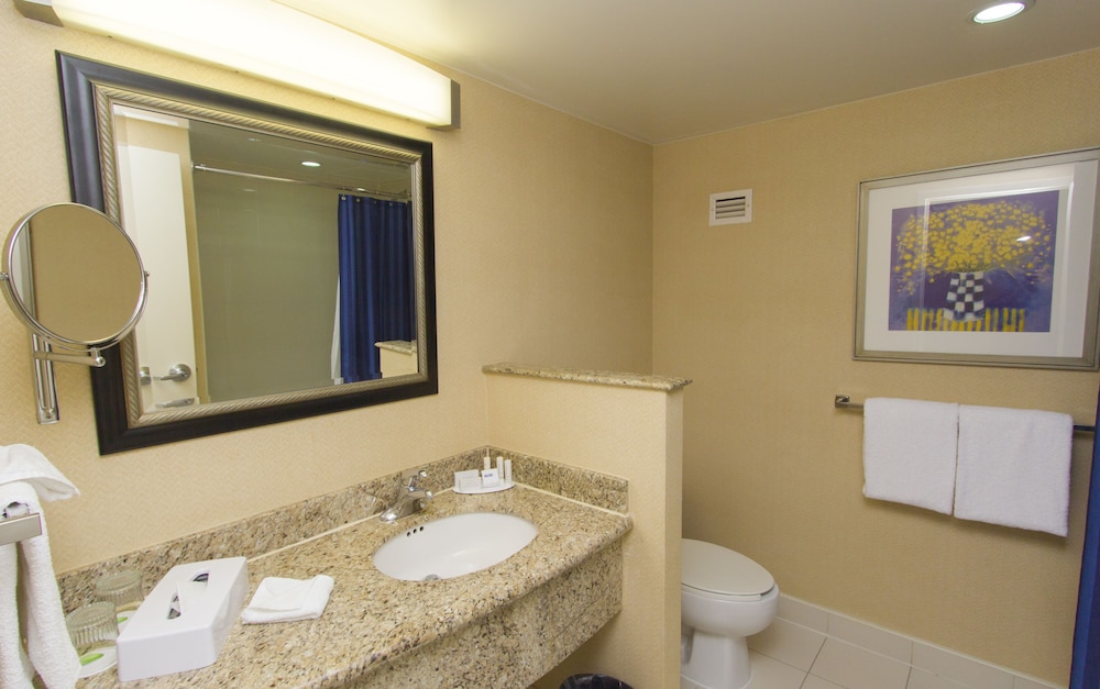 Suite, 1 Bedroom - Photo 15