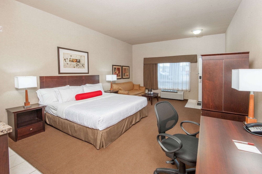 Room, 1 King Bed with Sofa bed, Accessible, Refrigerator & Microwave