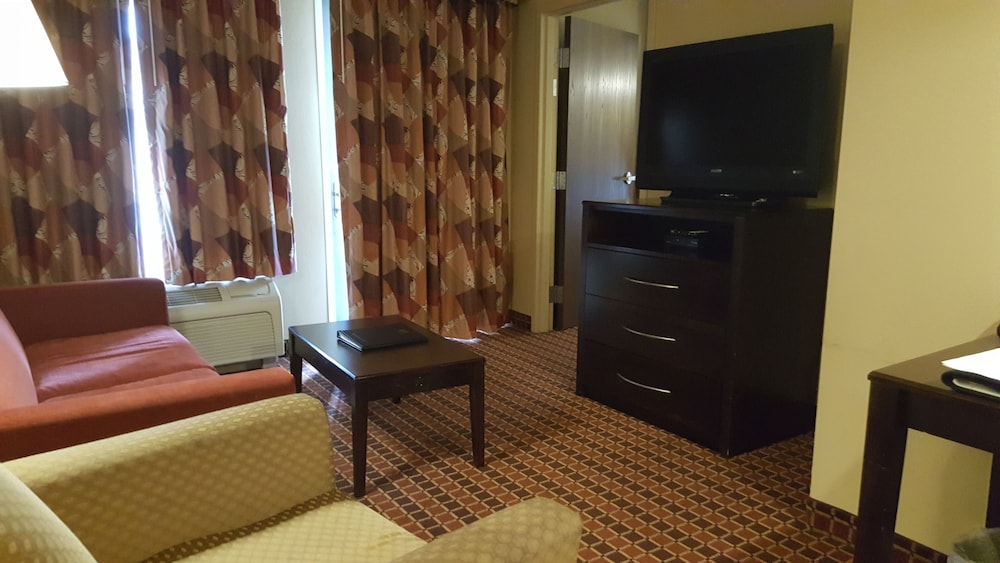 Suite, 1 Bedroom, Roll-in Shower photo 2