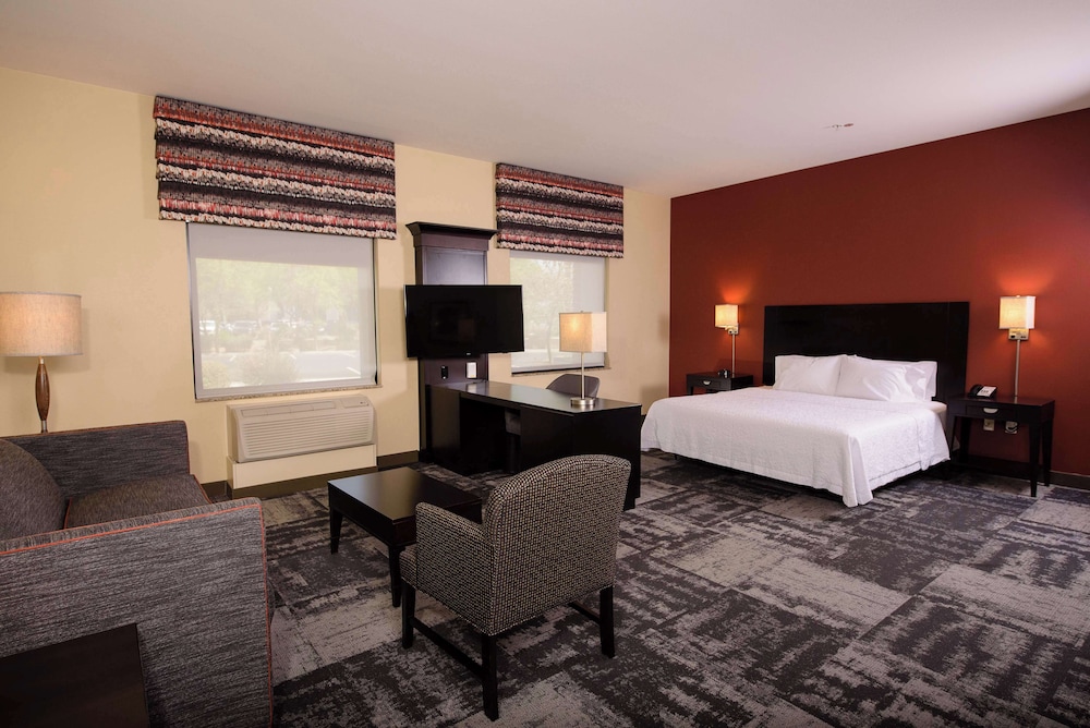 Suite, 1 King Bed, Accessible, Non Smoking - Photo 1