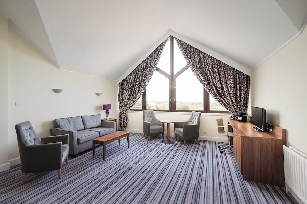 Suite, 1 King Bed with Sofa bed