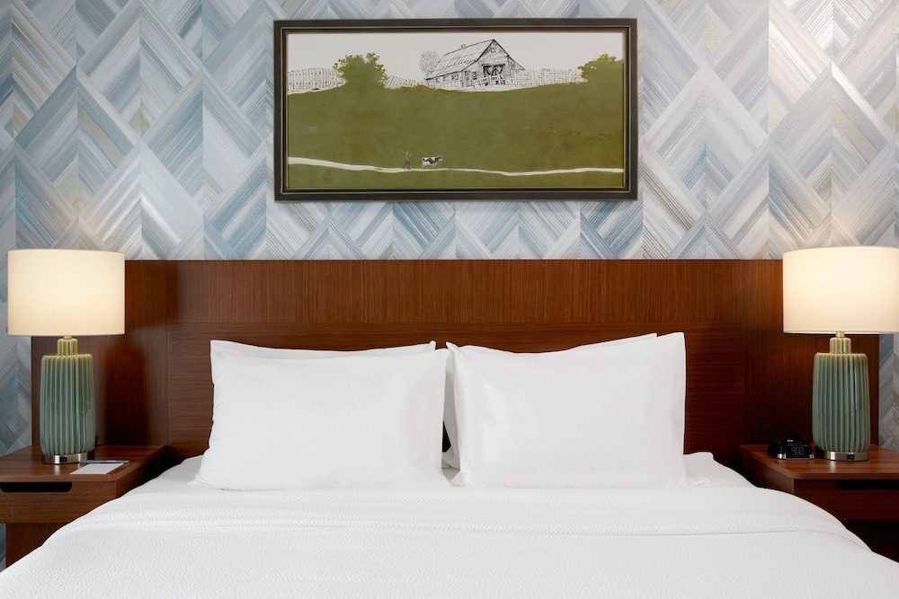 Suite, 1 King Bed with Sofa bed (Hearing Accessible) photo 3