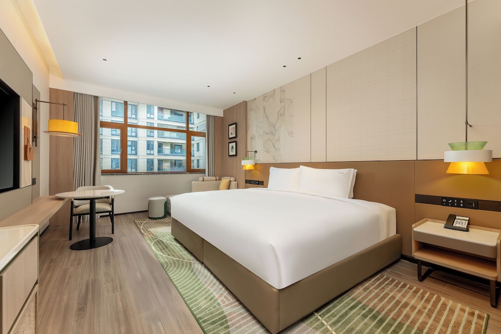 1 King Bed Standard City View