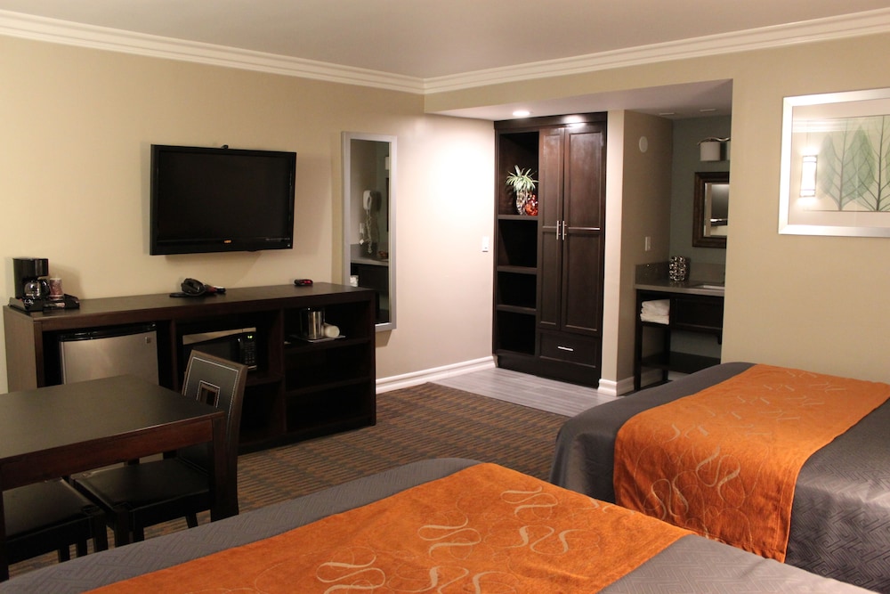 Basic Double Room photo 3