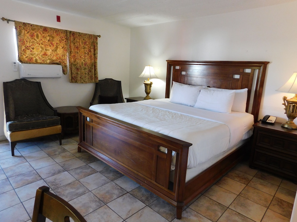 Room, 1 King Bed photo 3