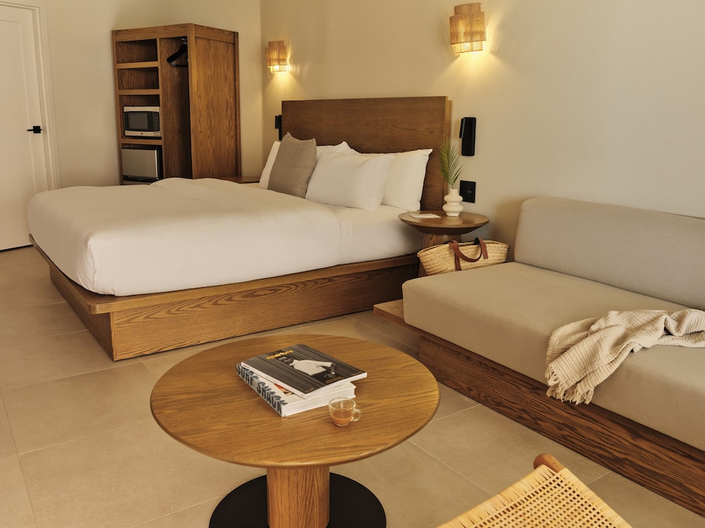 Studio Suite, 1 King Bed with Sofa bed, Roll-in Shower - Photo 1