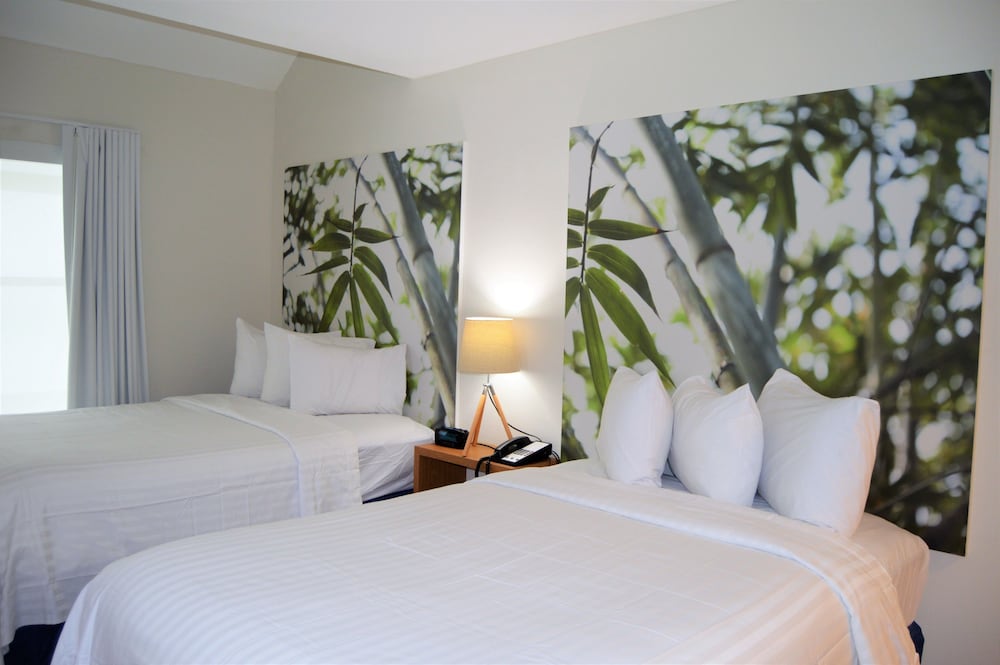Executive Suite, 1 Bedroom, Kitchen photo 3