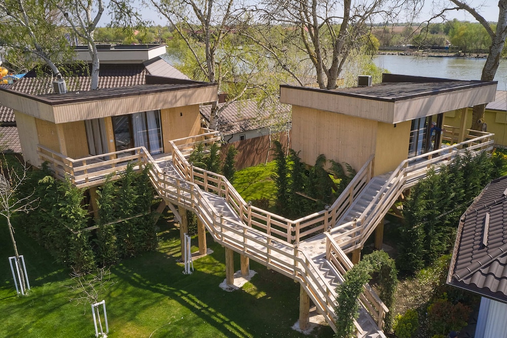 Tree House - Photo 1