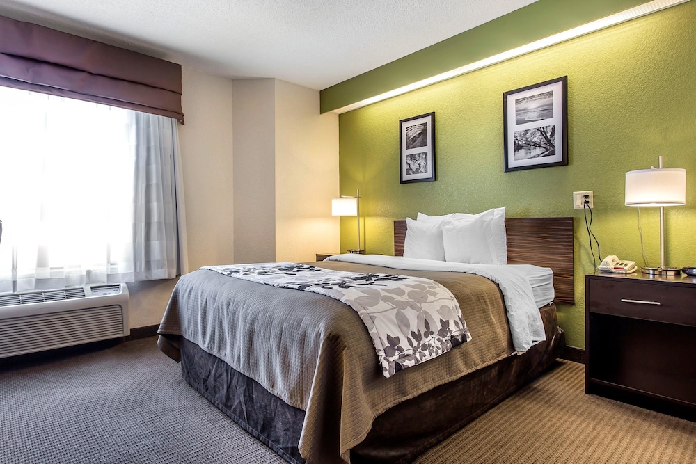 Standard Room, 1 Queen Bed, Accessible, Non Smoking - Photo 2