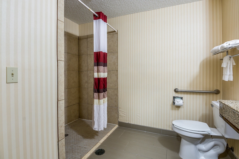 Superior Room, 1 King Bed, Accessible, Non Smoking (Roll-In Shower) - Photo 14