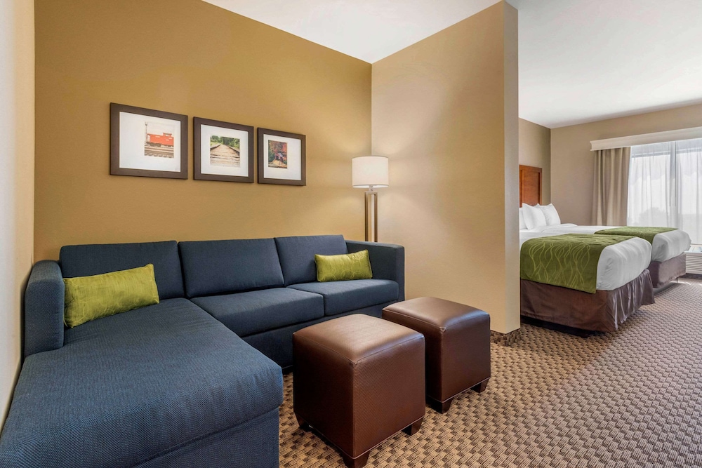 Suite, 1 King Bed with Sofa bed, Accessible, Non Smoking - Photo 6