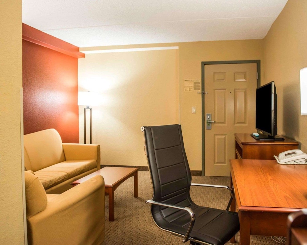 Suite, 1 King Bed, Non Smoking - Photo 4