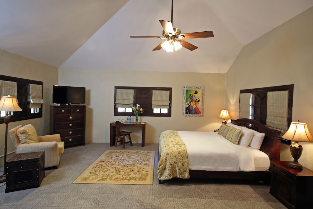 Junior Suite, 1 King Bed - Photo 1