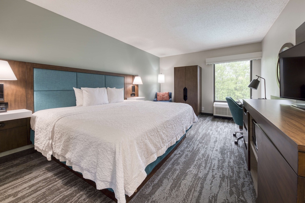 Room, 1 King Bed, Refrigerator - Photo 2