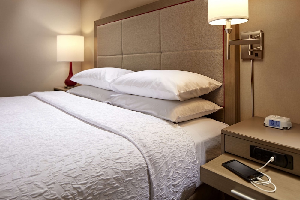 Room, 1 King Bed with Sofa bed, Accessible, Bathtub (Mobility & Hearing) photo 3