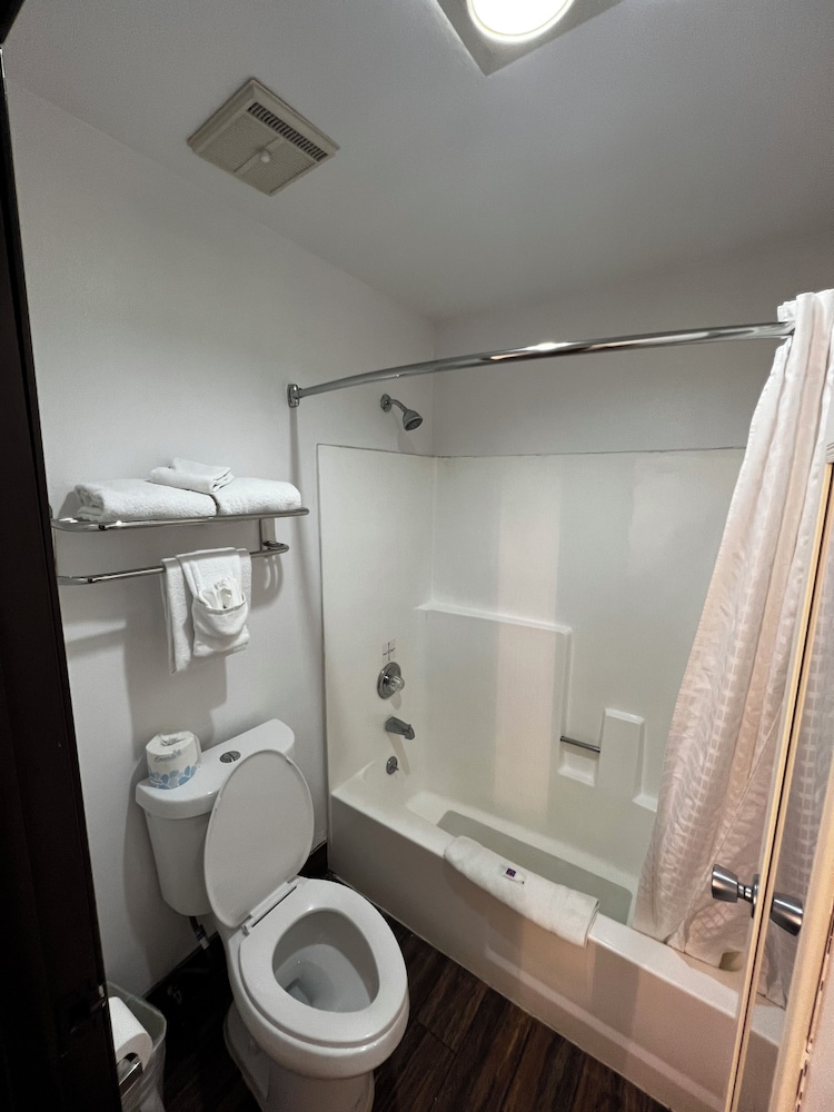 Standard Suite, Multiple Beds, Non Smoking - Photo 6