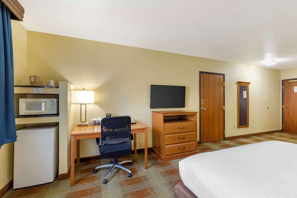 Standard Room, 1 King Bed, Non Smoking, Refrigerator & Microwave - Poolside photo 3