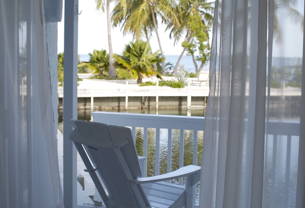 Starfish Suite