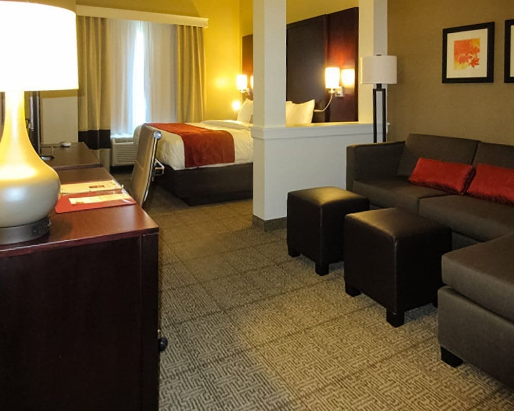 Suite, 1 King Bed with Sofa bed, Accessible, Non Smoking