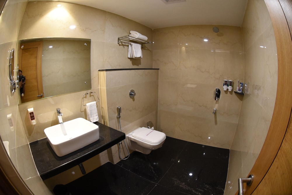 Deluxe Double Room, 1 Double Bed, City View photo 3