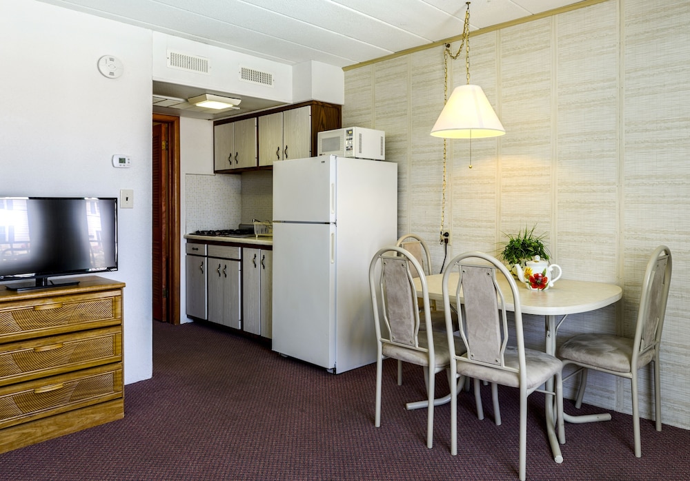 Basic Suite photo 3