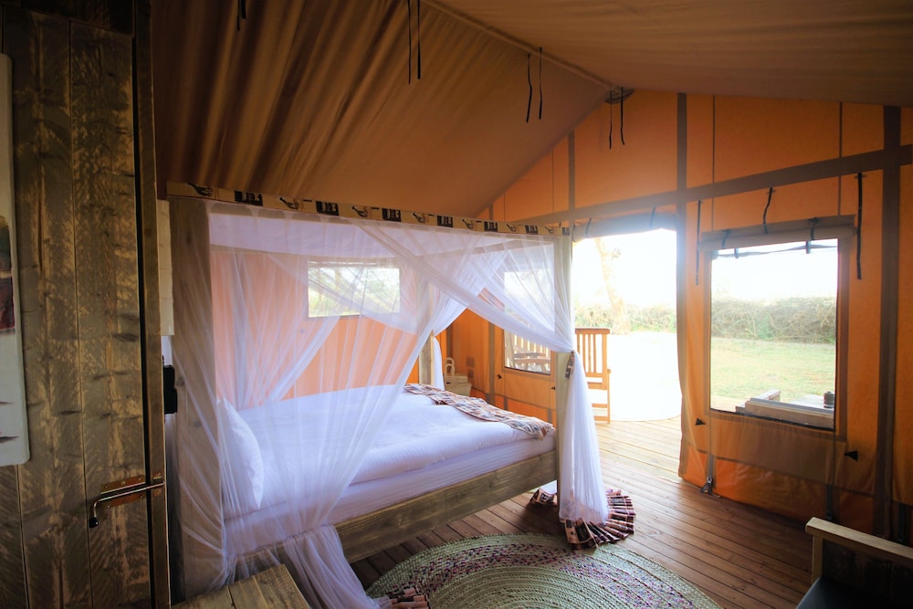 Safari Luxury Tent 1-4pax photo 2
