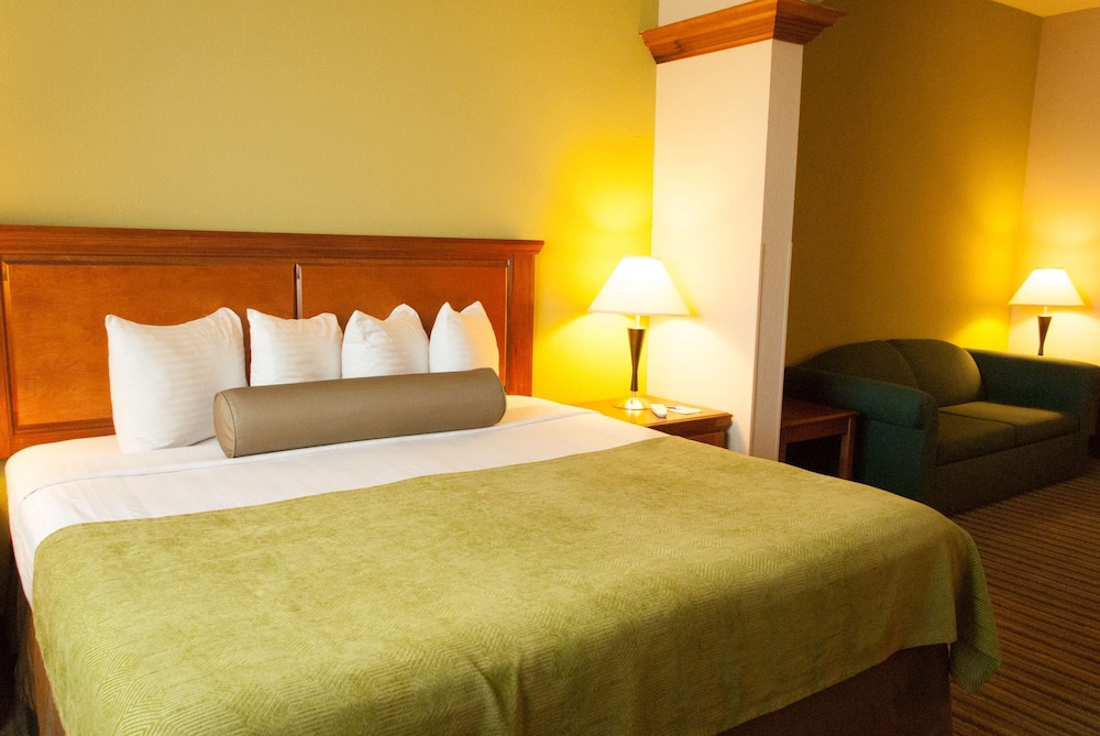 Suite, 1 King Bed, Non Smoking, Refrigerator & Microwave - Photo 1