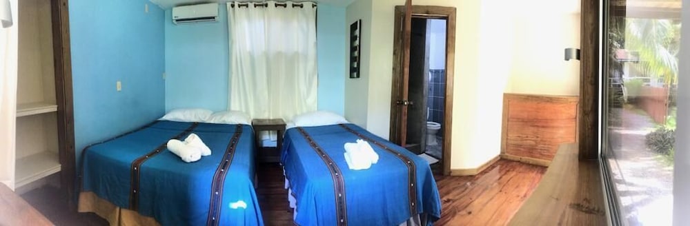 Basic Room, 1 Bedroom, Garden View photo 1