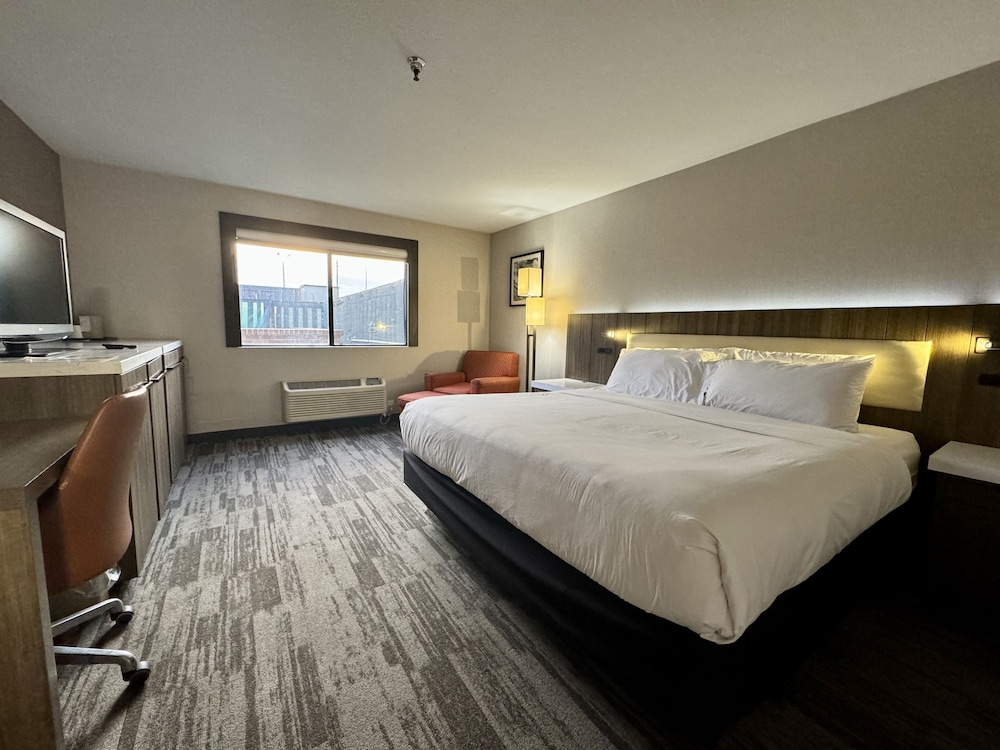 Deluxe Room, 1 King Bed, Non Smoking photo 2